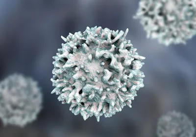 3D illustration of a lymphocyte in white and green.